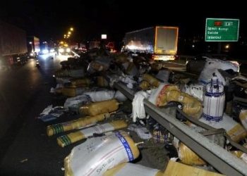 TEM’de TIR’ın yükü yola saçıldı, aydınlatma direğini devirdi: 3 yaralı