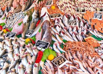 Türkiye balık ihracatında rekora koşuyor