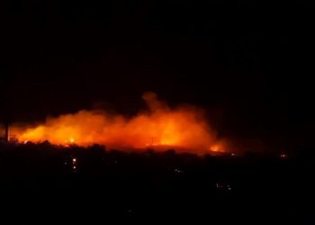 Urla’da makilik alanda çıkan yangın denetim altında