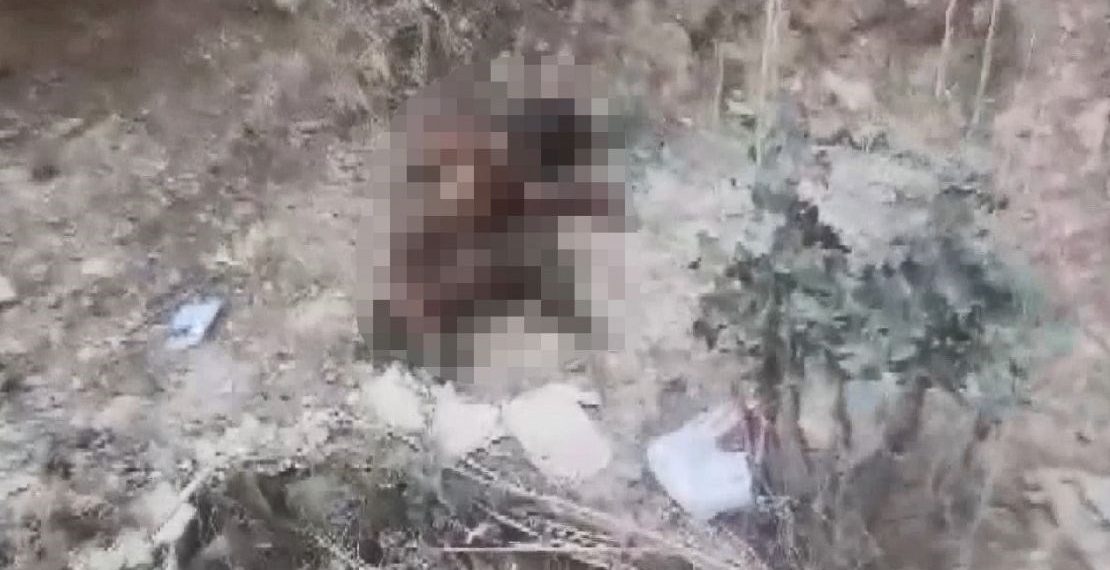 Yavru köpeği ayaklarını kesip yaktılar