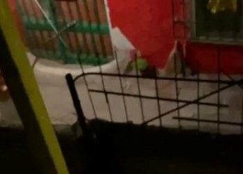 Yavru köpeği sopayla dövdü, reaksiyon gösterenleri tehdit etti