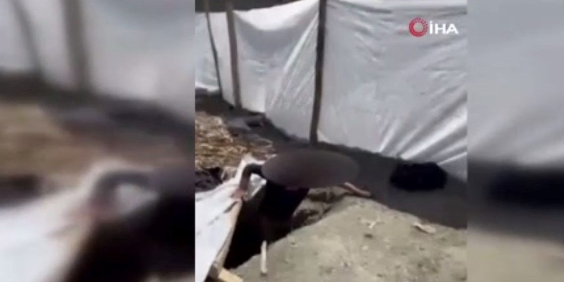 Yer altında saklanırken yakalandılar