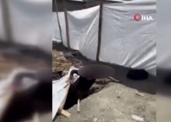 Yer altında saklanırken yakalandılar