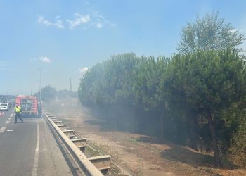15 Temmuz Köprüsü yolunda ağaçlık alanda yangın