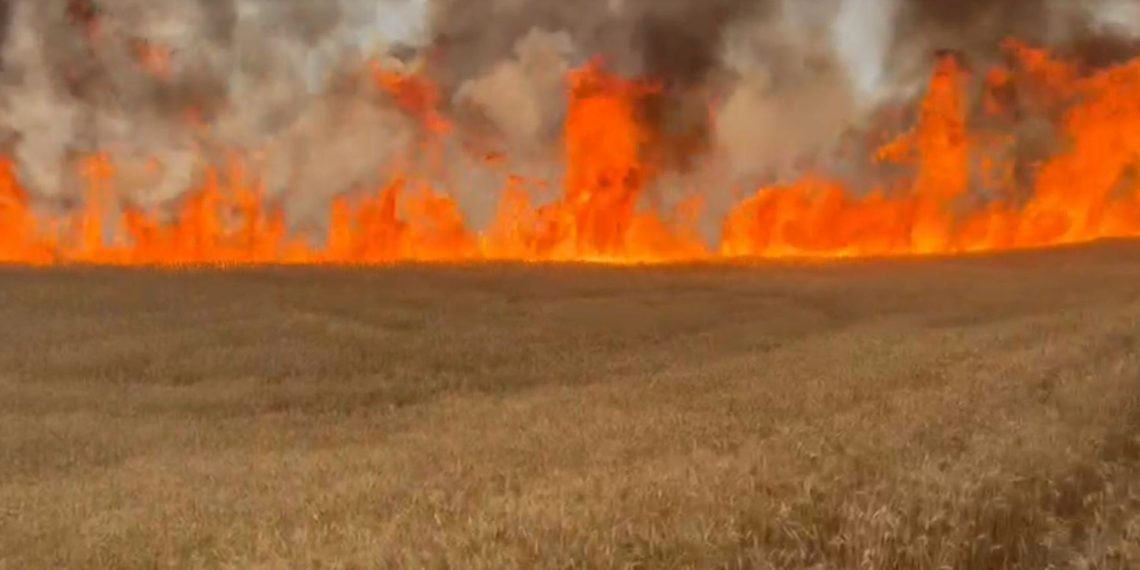 3 bin dönüm arazi yandı, 10 milyon TL ziyan oluştu
