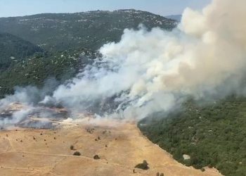 Antalya Kaş’ta makilik alanda yangın