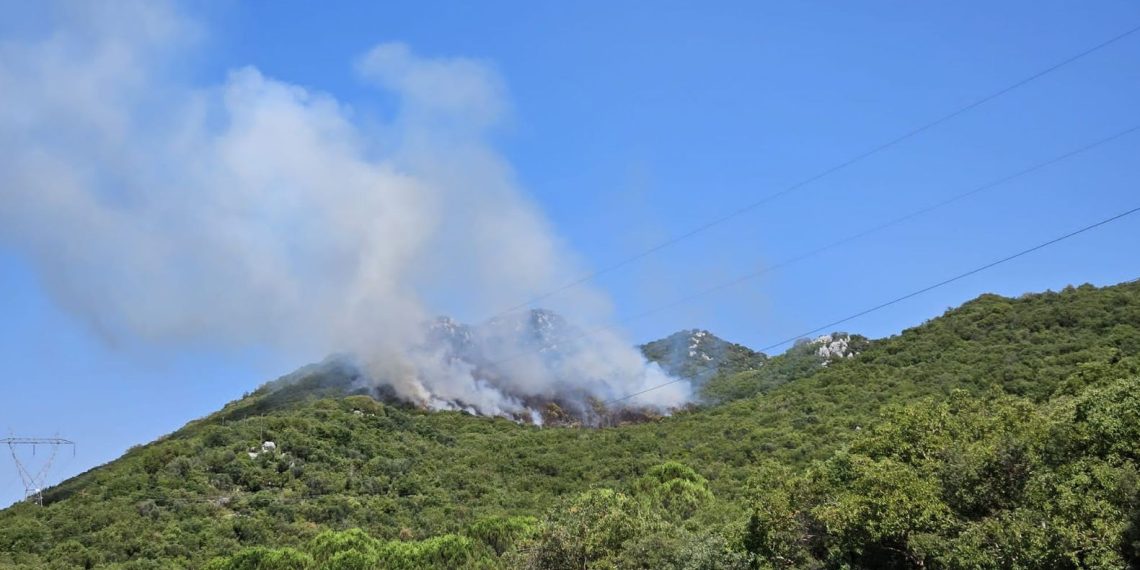 Antalya’da orman yangınları