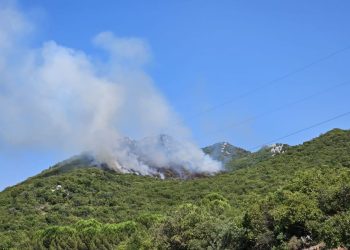 Antalya’da orman yangınları
