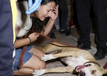 Apartmanda çıkan yangında can pazarı yaşandı: Çok sayıda kişi dumandan etkilendi