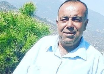 Arının soktuğu adam hayatını yitirdi