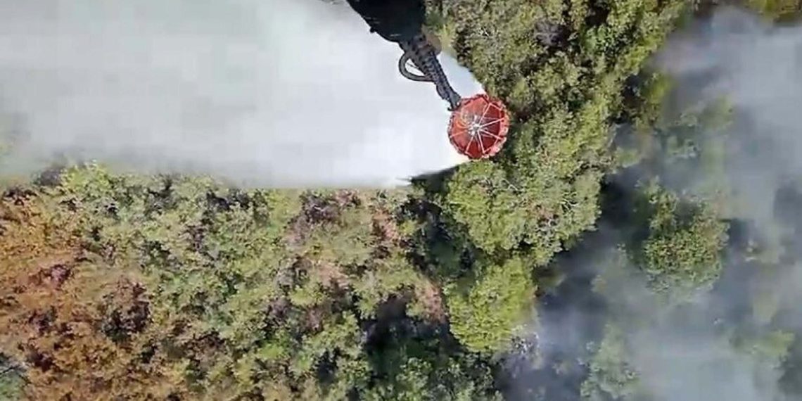 Balıkesir’de orman yangını