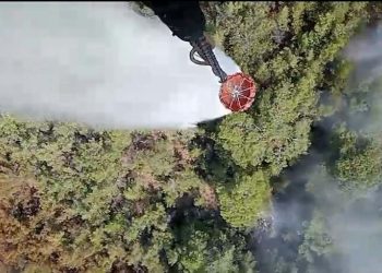 Balıkesir’de orman yangını