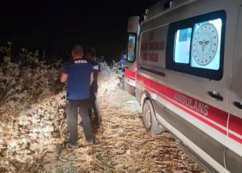 Batman’da mısır tarlasında erkek cesedi bulundu