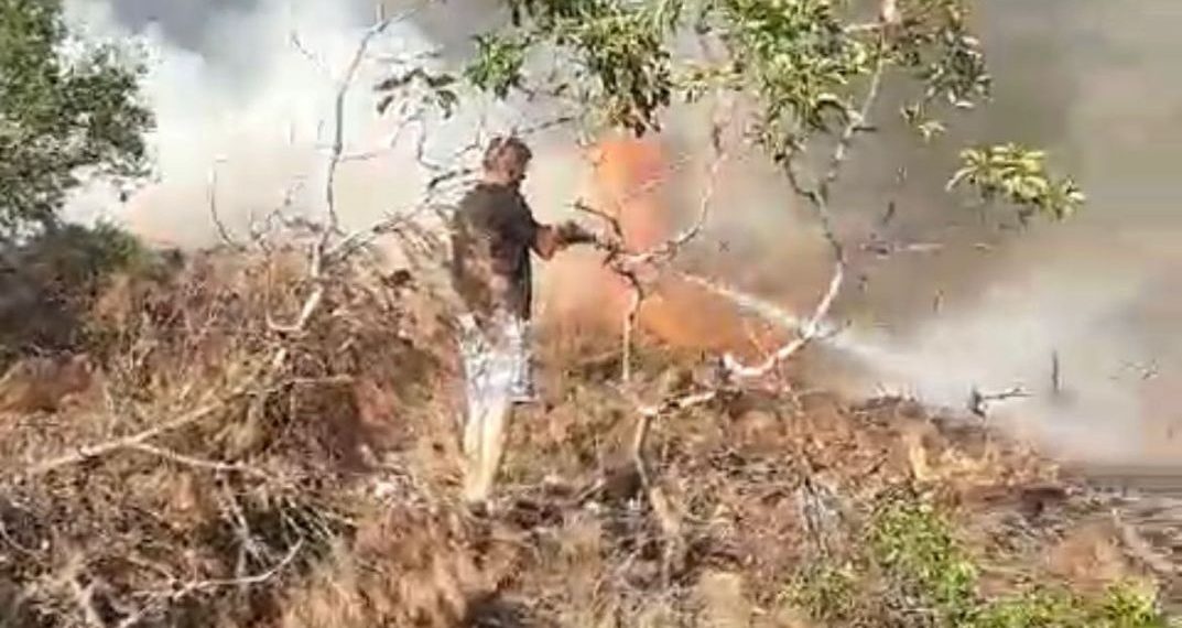 Bilecik’te orman yangını