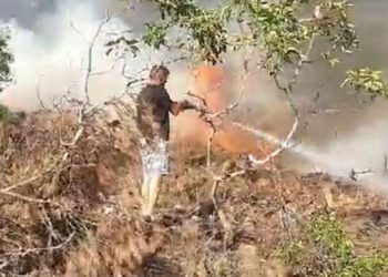 Bilecik’te orman yangını