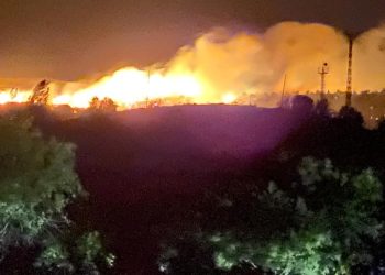 Bingöl ve Malatya’da orman yangını