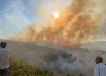 Bingöl’de ormanlık alanda yangın