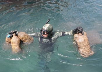 Bodrum’da deniz tabanı paklığı: 1417 kilogram atık çıkarıldı