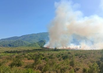 Burdur’da orman yangını çıktı