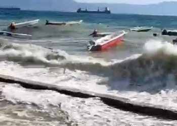 Bursa’da şiddetli rüzgar tesirli oldu