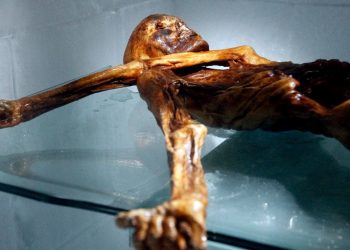 Buzul mumya Ötzi’nin günümüz Türkiye’sinde yaşadığı açıklandı