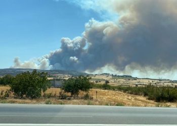 Çanakkale ve İzmir’de orman yangını: Gruplar havadan ve karadan müdahaleye ediyor