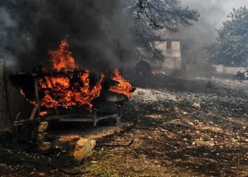 Dedeağaç’ta orman yangını nedeniyle OHAL ilan edildi (İpsala Hudut Kapısı kapatıldı)