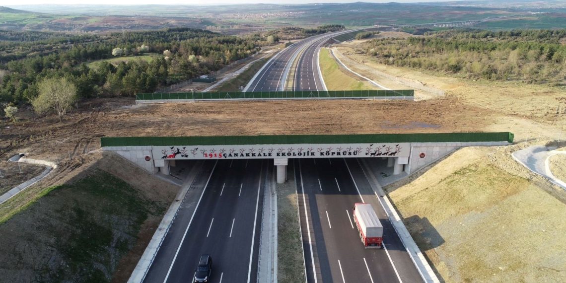 Doğal ömrün umudu ekolojik köprüler