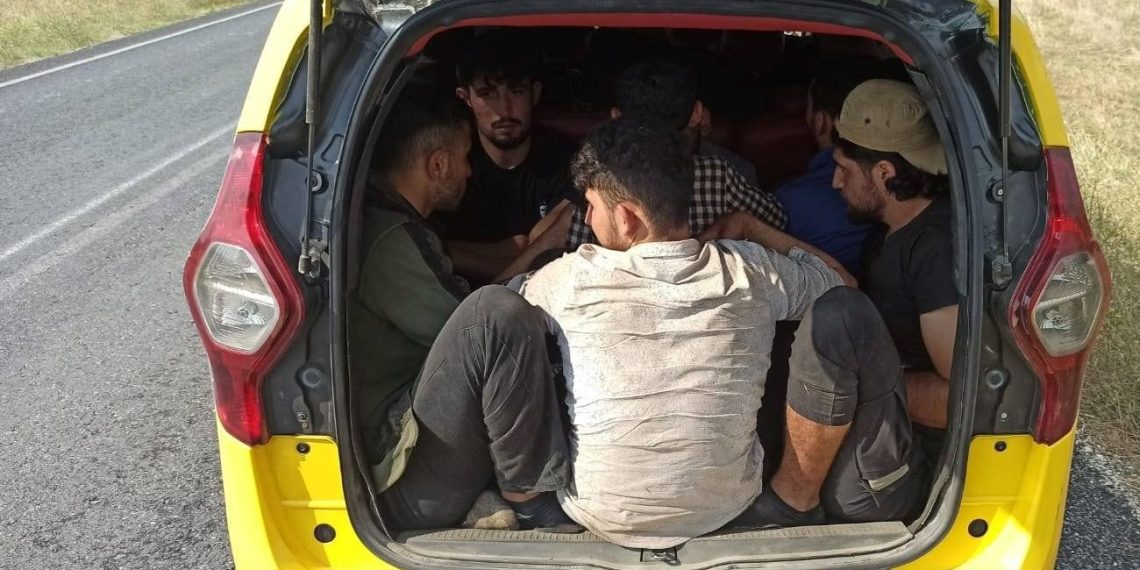 Edirne’de balık istifi göçmen kaçakçılığı