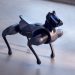 Evcil hayvanların yerini alacak: Xiaomi, robo-köpek CyberDog 2’yi tanıttı