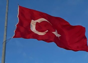 Fırat Kalkanı harekat bölgesinde 1 polis şehit oldu