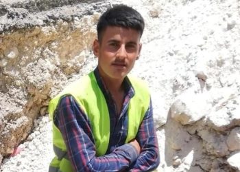 Güvercin tartışması cinayetle bitti