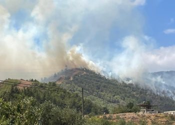 Hatay ve Balıkesir’de orman yangını