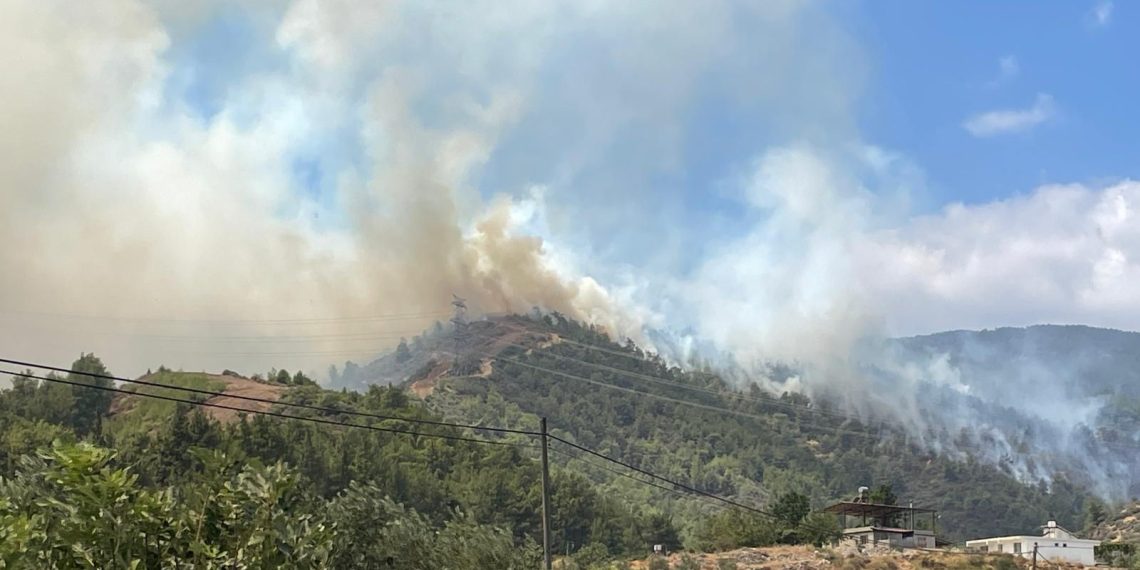 Hatay ve Balıkesir’deki orman yangınlarında son durum