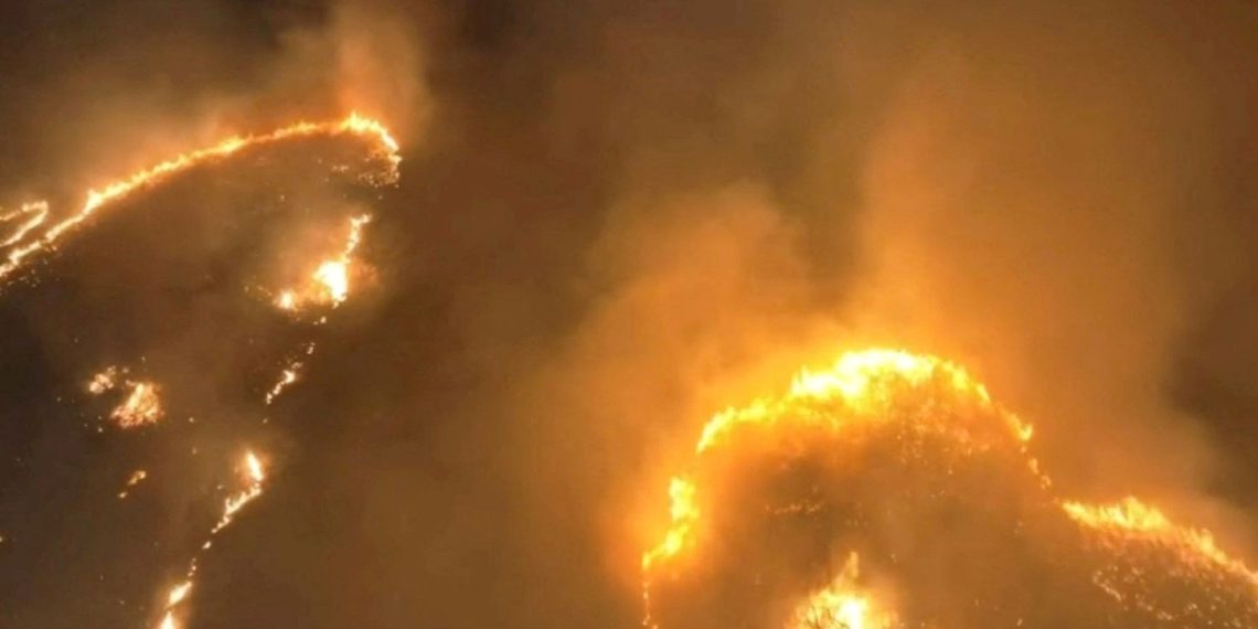 Hawaii’de orman yangını: 6 meyyit