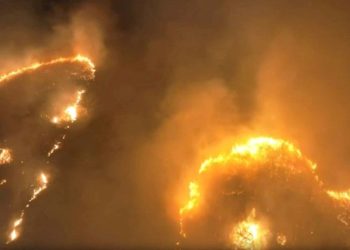 Hawaii’de orman yangını: 6 meyyit