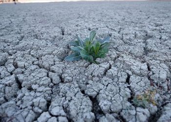 İklim değişikliği ve çok hava olayları insanları göçe zorluyor