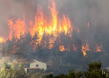 iPhone orman yangınını engelledi: Uydu üzerinden sinyal gönderdi!