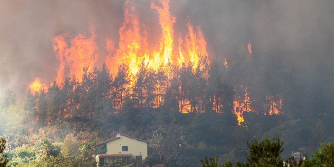 iPhone orman yangınlarını engelledi: Uydu üzerinden sinyal gönderdi!