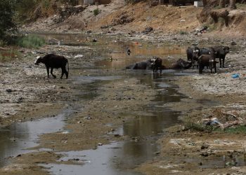 İran kuraklığın pençesindeki Irak’a akan ırmağın suyunu kesti