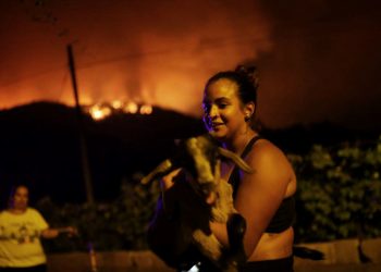 İspanya’nın Kanarya Adaları’nda yangınlar nedeniyle 26 bin kişi tahliye edildi