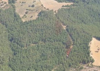 İzmir’de iki farklı noktada orman yangını (Kontrol altına alındı)