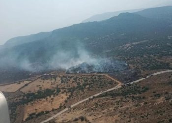 İzmir’de orman yangını (Kontrol altına alındı)
