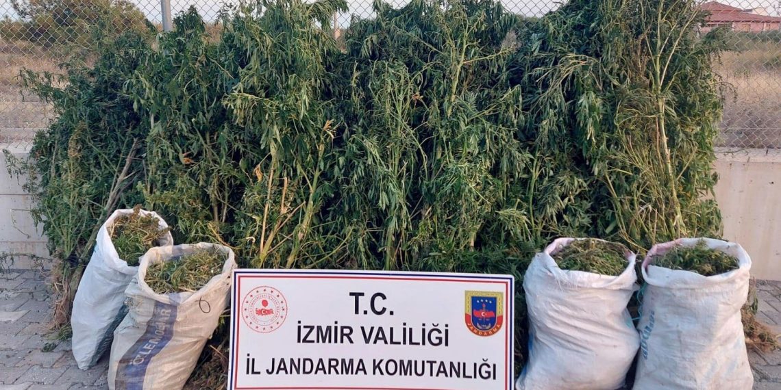 İzmir’de uyuşturucu operasyonları: 30 gözaltı