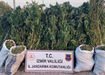 İzmir’de uyuşturucu operasyonları: 30 gözaltı