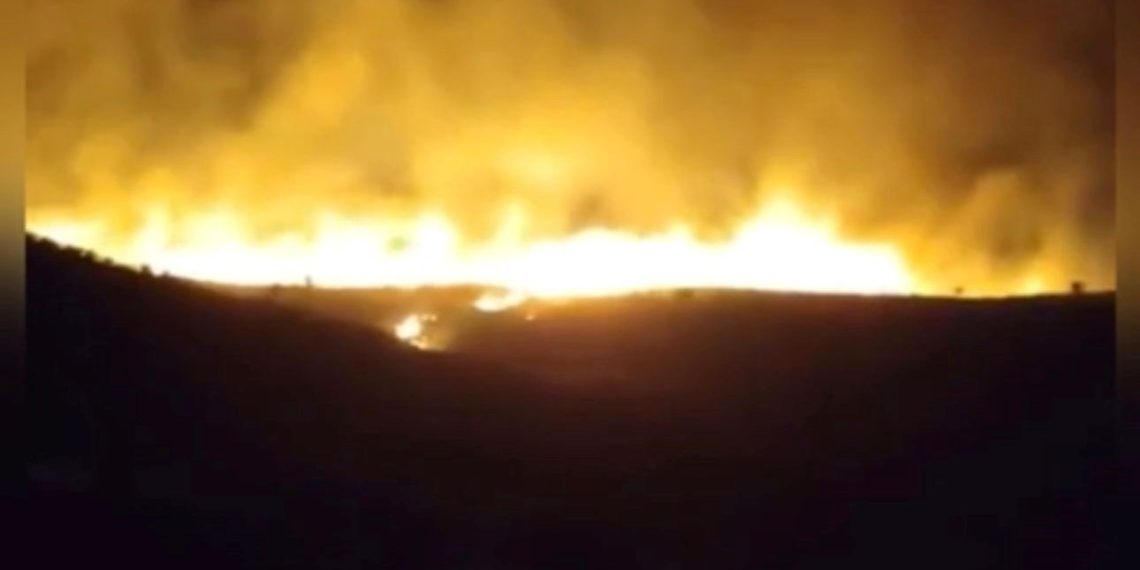 Karacadağ Bal Ormanı’nda yangın: Müdahale sürüyor