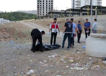 Kayıp diş tabibi yol kenarında meyyit bulundu