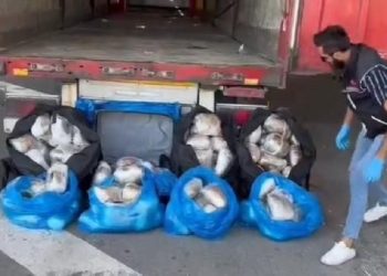 Kayseri’de durdurulan TIR’ın dorsesinde 80 kilo uyuşturucu ele geçirildi