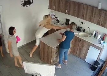 Kedisi ölünce veterineri dövdü