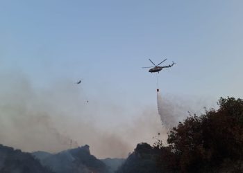 Manisa’da makilik alanda yangın: Söndürme çalışmaları devam ediyor